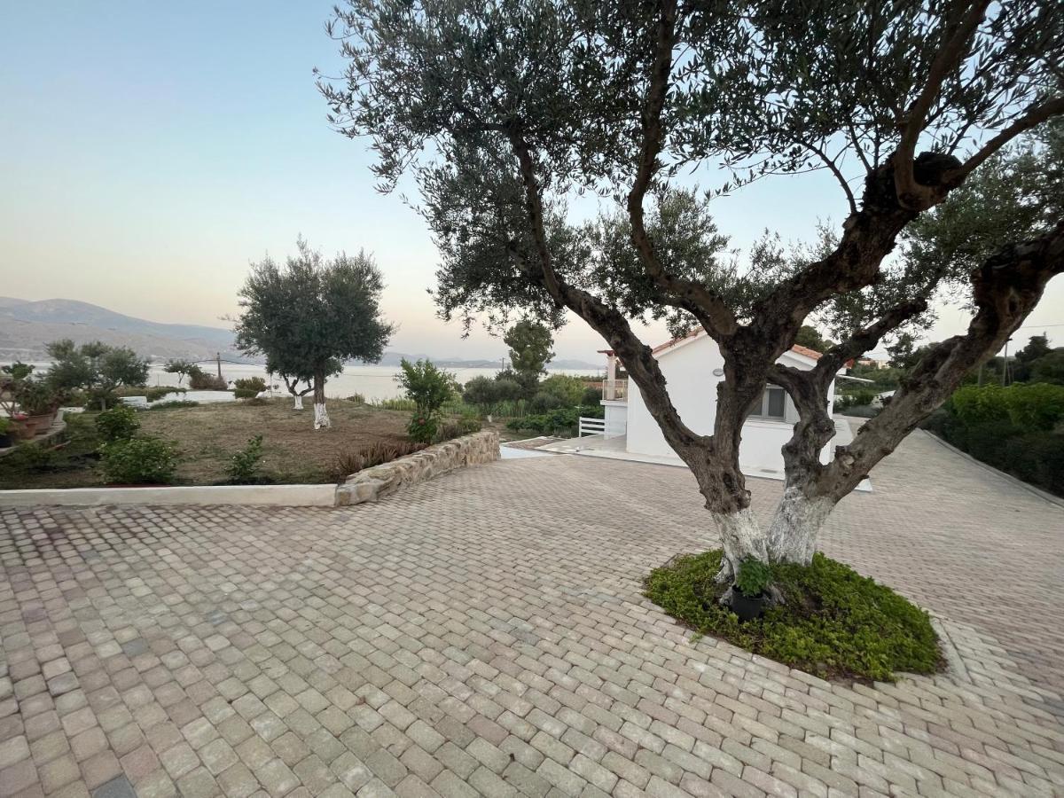 Apollonides Seafront Villa1 Aoede Lixouri Zewnętrze zdjęcie