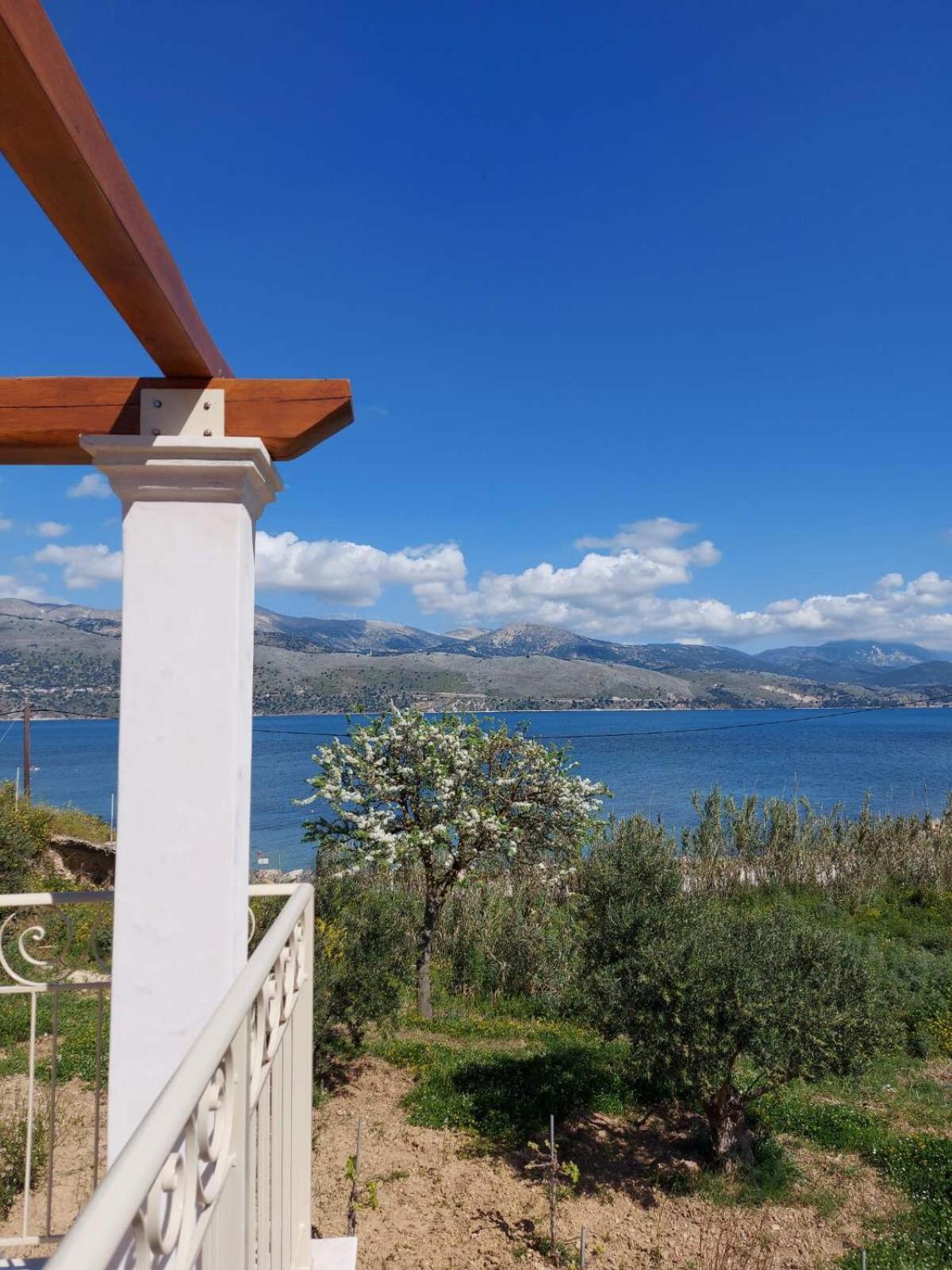 Apollonides Seafront Villa1 Aoede Lixouri Zewnętrze zdjęcie