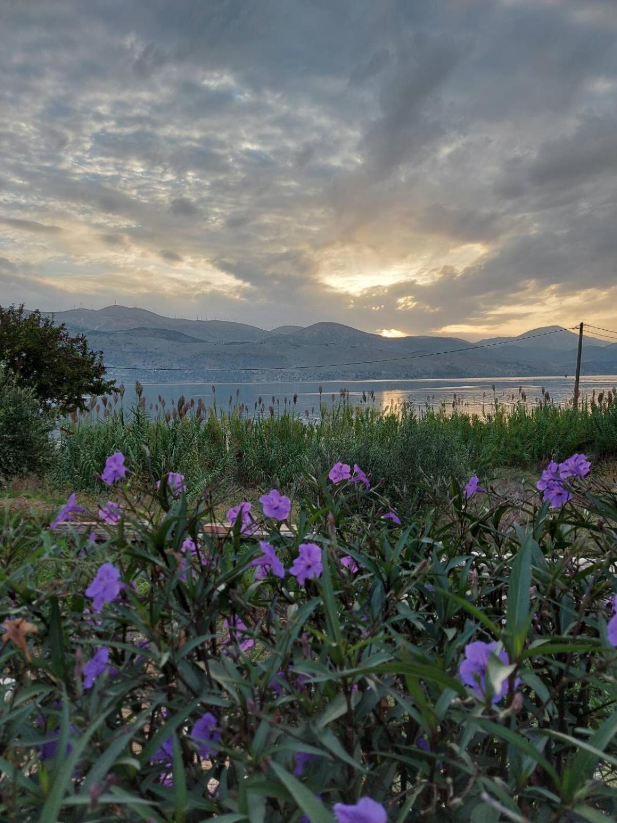 Apollonides Seafront Villa1 Aoede Lixouri Zewnętrze zdjęcie