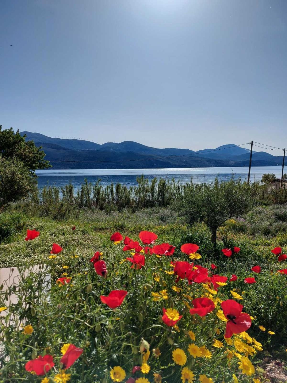 Apollonides Seafront Villa1 Aoede Lixouri Zewnętrze zdjęcie