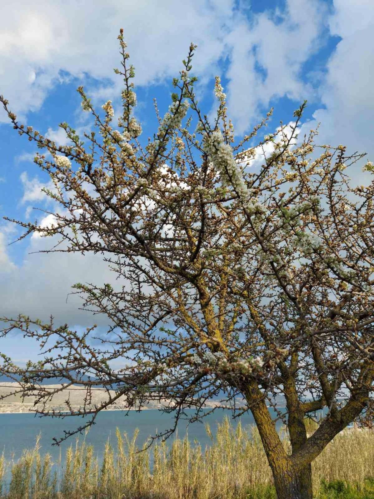 Apollonides Seafront Villa1 Aoede Lixouri Zewnętrze zdjęcie